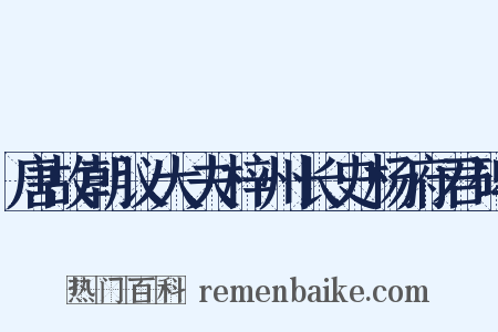 唐故朝议大夫梓州长史杨府君碑是什么意思的图片